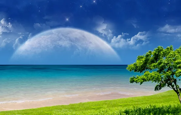 Picture beach, the sky, grass, clouds, tree, planet, The ocean