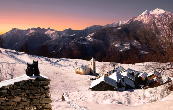 Picture winter, snow, cats, mountains, home, Italy, Church, Lombardy