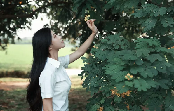 Beautiful, Asian, Model, Flower, Tree, Woman, Pretty, Japanese