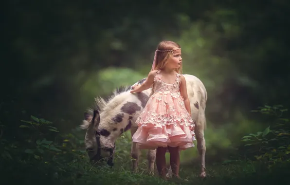 Dress, girl, donkey