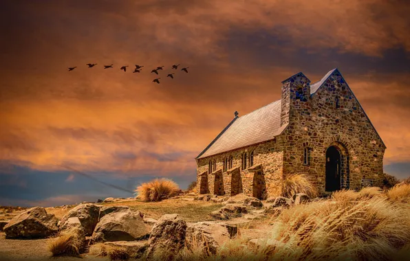 Picture autumn, grass, light, stones, bird, pack, Church, house