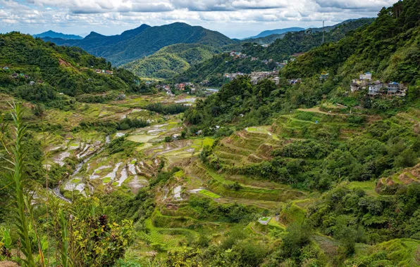 Mountains, nature, home, Philippines