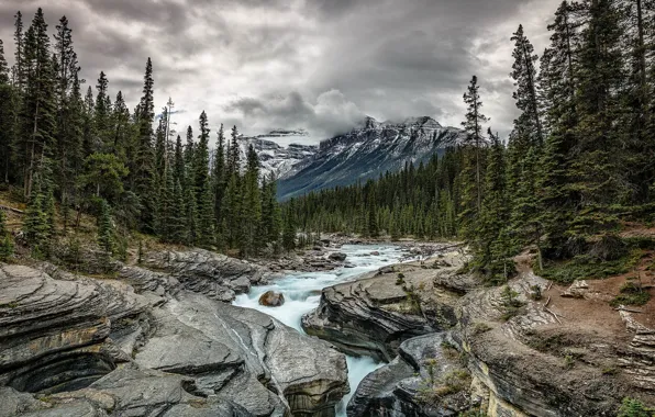 Forest, clouds, mountains, river, stones, overcast, rocks, stream
