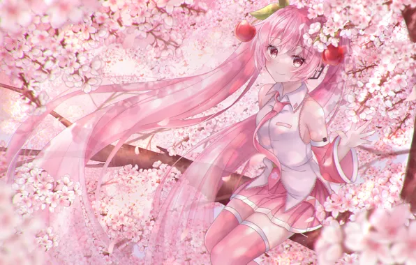 Girl, Sakura, Hatsune Miku, Vocaloid, flowering, cherries, Sakura Miku