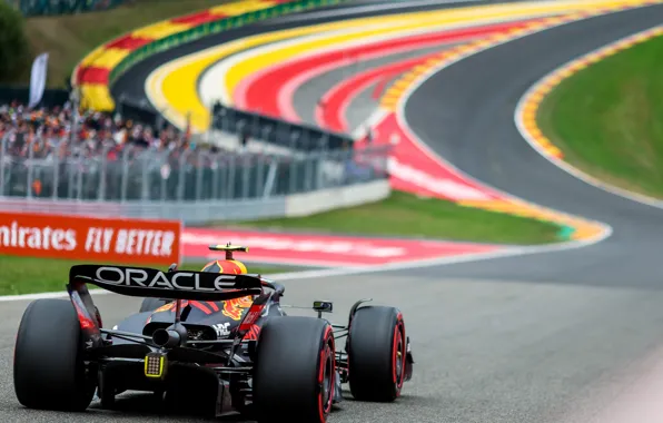 Formula 1, red bull, spa, belgim 22