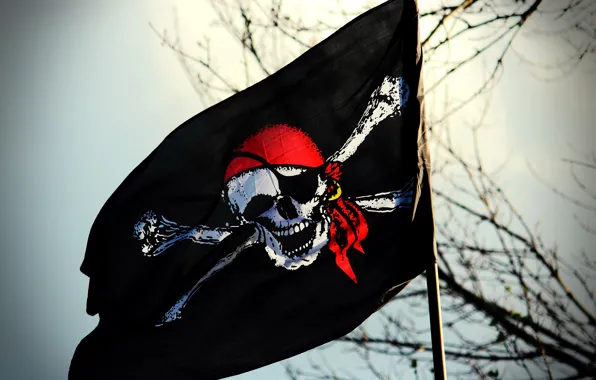 Skull, flag, pirate, Jolly Roger