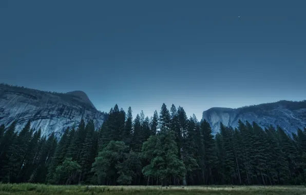 USA, California, Yosemite Valley, National Park, California, Foresta, Yosemite Valley