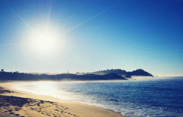 Picture sand, sea, the sun, trees, traces, shore, Sunny