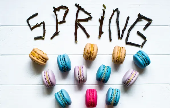 Picture branches, spring, colorful, spring, macaroon, macaron, macaroon