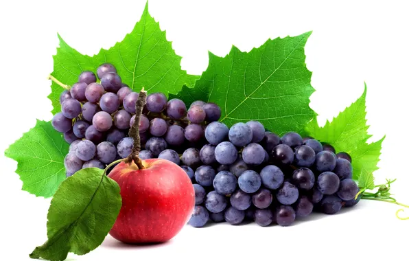 Picture leaves, apple, Apple, berry, grapes, bunch, white background, grapes
