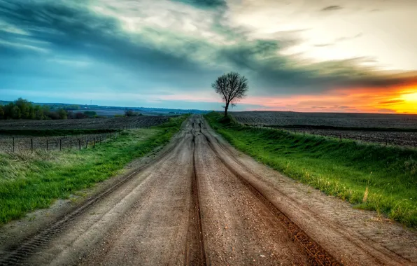 Picture road, field, sunset