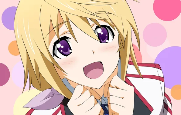 Picture Female, Single, Charles Dunois, Infinite Stratos, Simple background
