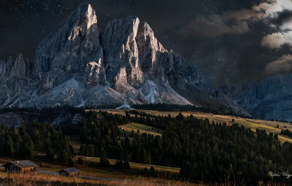 Picture landscape, mountains, night, nature, stars, Italy, forest, The Dolomites