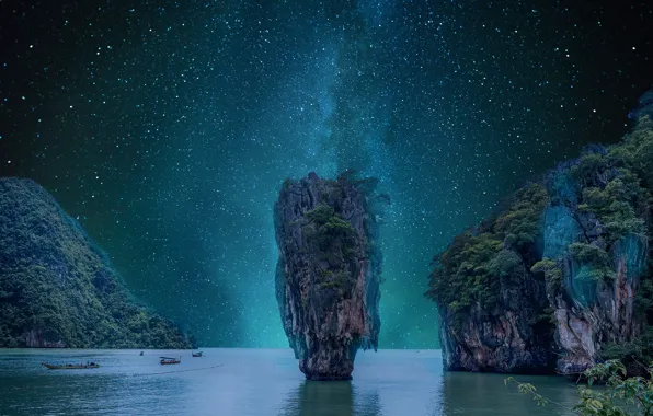 Sea, the sky, space, stars, trees, night, rocks, vegetation