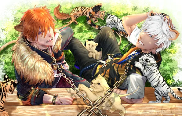 Animals, collage, the game, guys, chain, two, lions, tigers