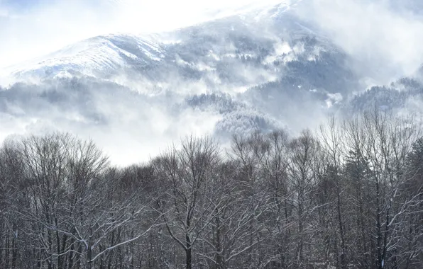 Picture mountain, snow, winter, Kentucky