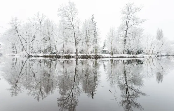 Winter, frost, trees, lake, Park, reflection