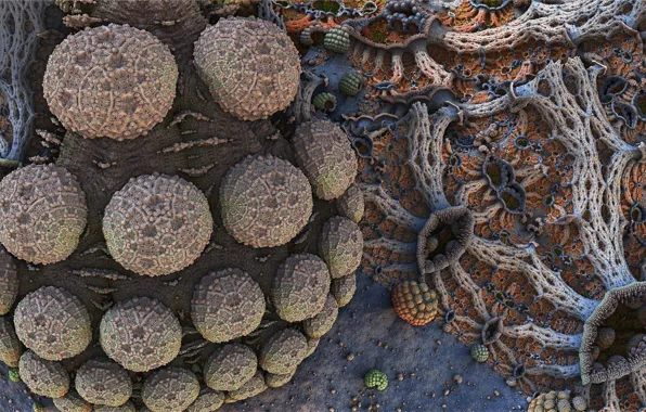 Balls, macro, surface, 3D graphics