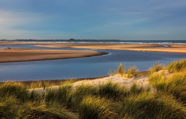 England, Bamburgh, Budle Bay