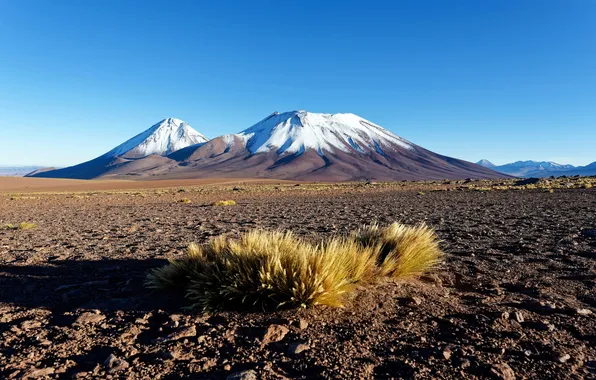 Picture Chile, Chile, Wilderness, Snow-capped mountains, Wildlife, Snowy Mountains, Atacama Plateau, Atacama Plateau