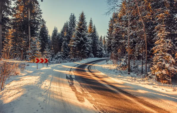 Winter, road, turn
