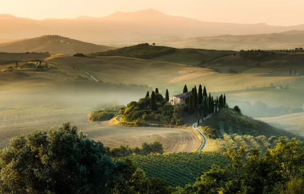 Picture summer, light, field, morning, Italy, Tuscany, August