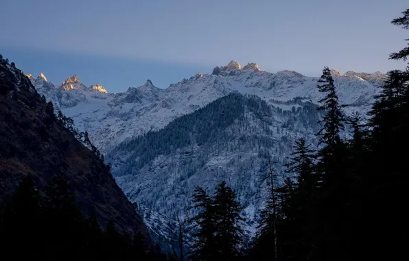 Picture winter, the sky, snow, trees, mountains, nature, rocks, India