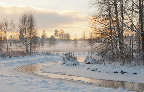 Winter, Snow, Frost, Winter, Frost, Snow, River