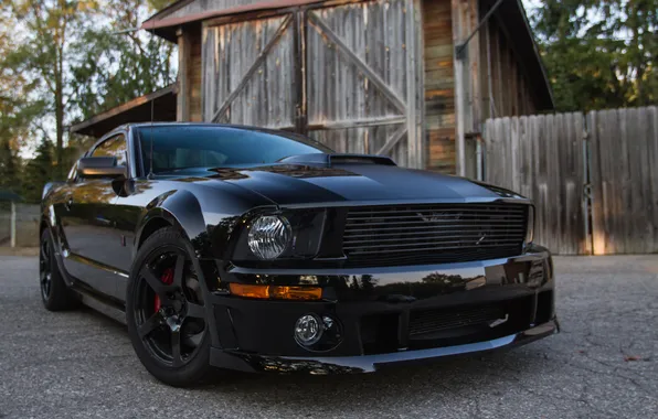 Picture Mustang, Ford, Mustang, the barn, Ford, 2009, BlackJack, Roush Stage 3