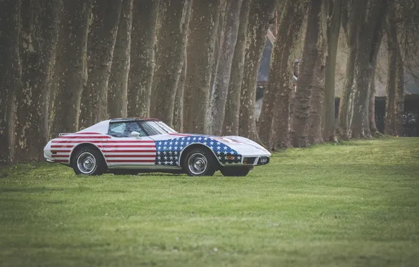 Picture grass, Chevrolet, classic, Corvette C3