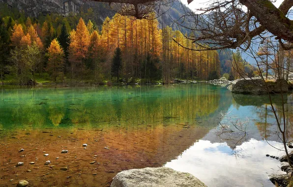 Autumn, trees, mountains, lake, stones