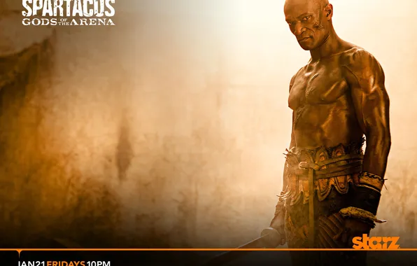 Male, Gladiator, Spartacus, Gods Of The Arena