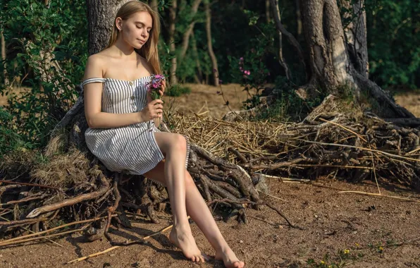 Dress, trees, nature, flowers, model, women, blonde, sitting