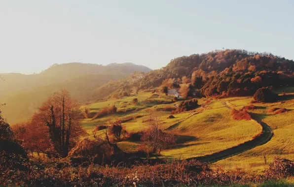 Picture grass, trees, house, the building, hill