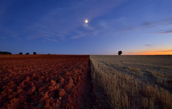 Field, horizon, arable land