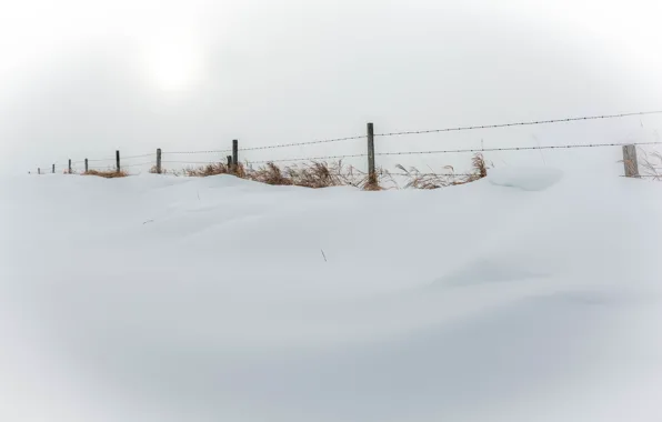 Winter, snow, nature, the fence, minimalism