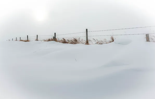 Picture winter, snow, nature, the fence, minimalism