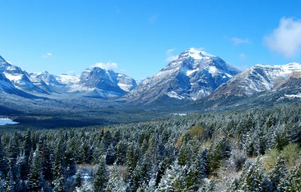 Forest, the sky, landscape, mountains, nature, USA, Glacier, Montana