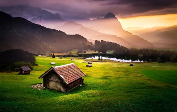 Greens, field, forest, summer, the sky, grass, clouds, light