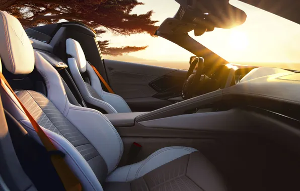Chevrolet, Convertible, Chevrolet Corvette, Convertible, 2025, 2026, ZR1X, Quail Silver Limited Edition