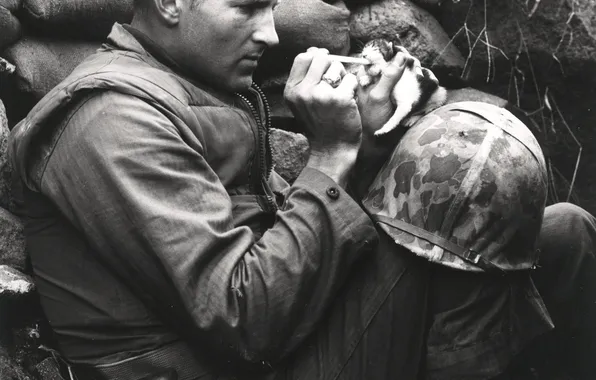 Cat, helmet, American soldiers, pipette, 18 Oct, The Korean War, 1952, retro photography