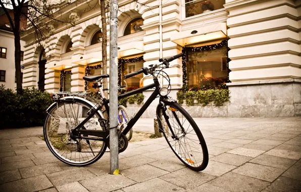 Picture bike, street, the sidewalk, street, showcase, Bicycle