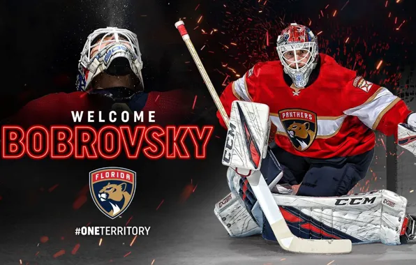 Hockey, goalkeeper, hockey player, bobrovsky