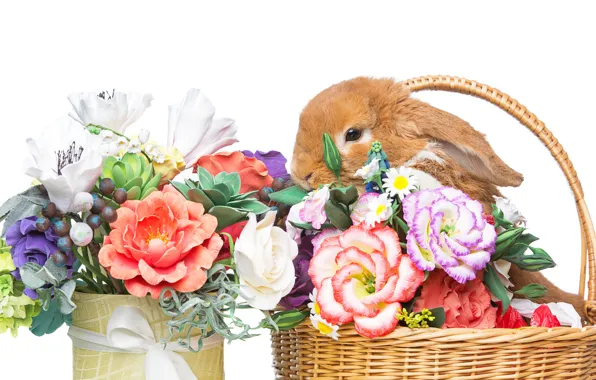 Picture flowers, basket, rabbit, Easter, happy, rabbit, flowers, spring