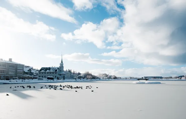 Picture winter, Iceland, Reykjavik, Reykjavik