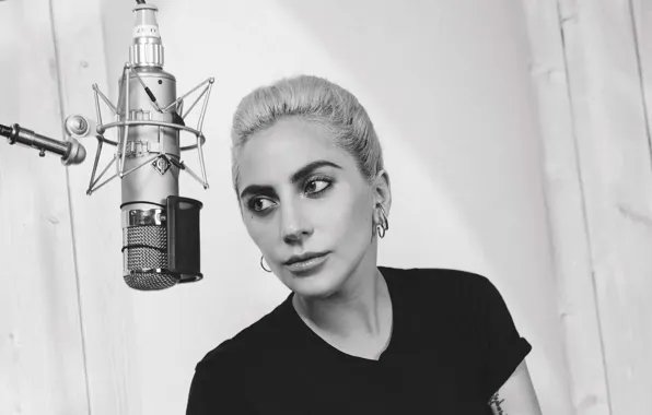 Picture photo, makeup, t-shirt, hairstyle, black and white, microphone, singer, Studio