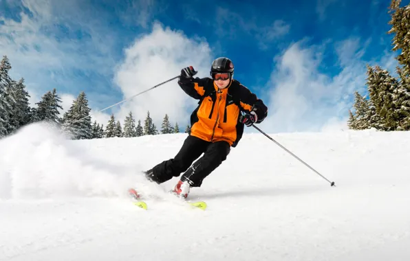 Winter, the sky, clouds, snow, trees, nature, the descent, ski