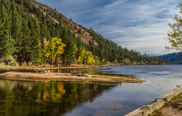 Autumn, the sky, trees, mountains, lake, island