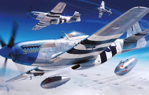 Fighter, USA, P-51D Mustang, US Airforce, Piotr Forkasiewicz