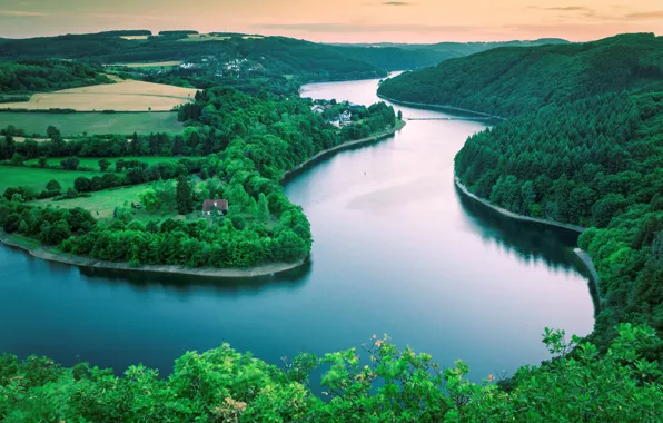 Picture field, forest, space, river